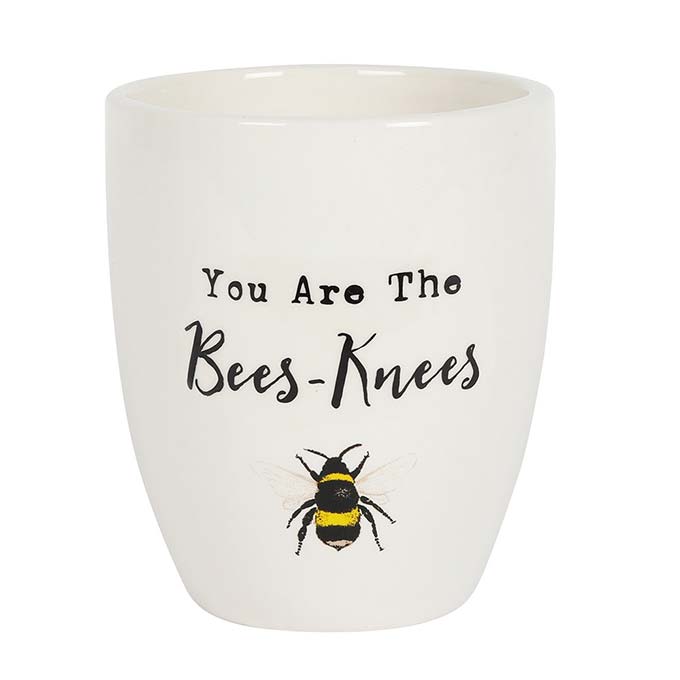 
                  
                    You Are The Bees Knees Ceramic Plant Pot
                  
                