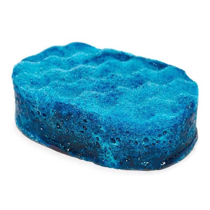 fierce oval soap sponge