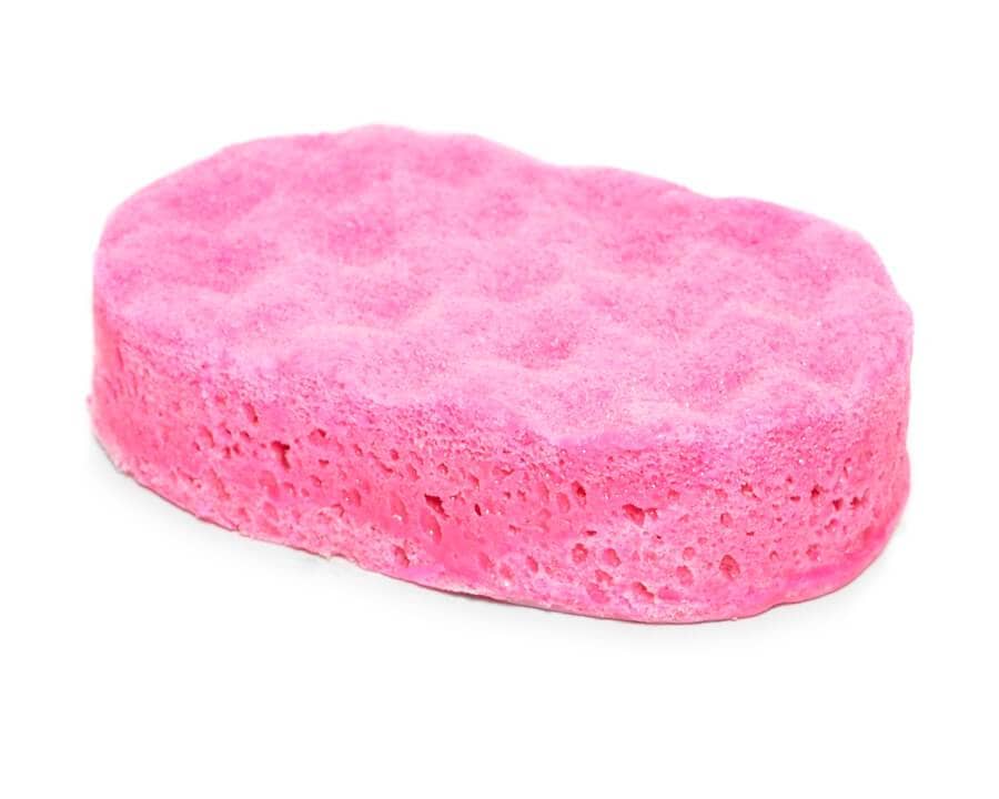 ice queen oval soap sponge