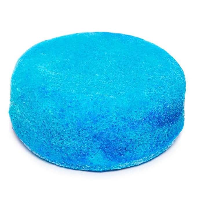 invincible round soap sponge