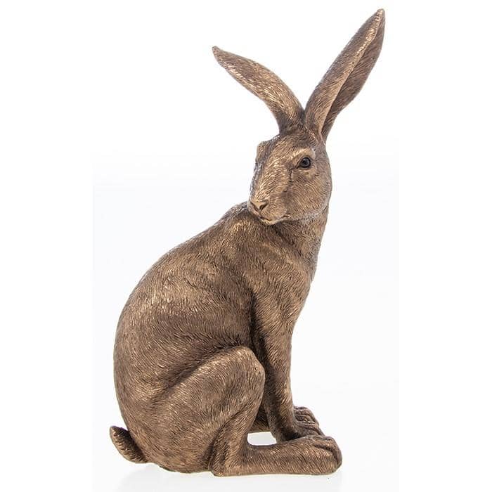 reflections bronzed sitting hare