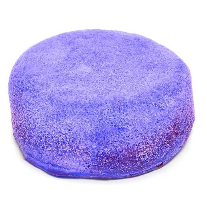 sweet treat round soap sponge